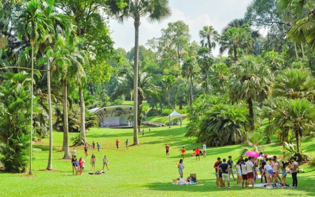 singapore botanic gardens - Symphony Lake - field