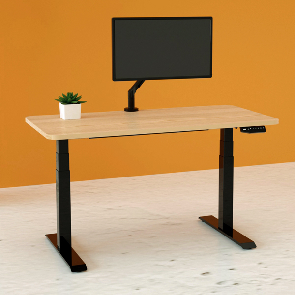 standing desks - TakeASeat Electric Standing Desk