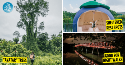 7 Less Crowded Hiking Trails In Singapore So You Can Siam Enthu Hikers No Matter The Time Of Day