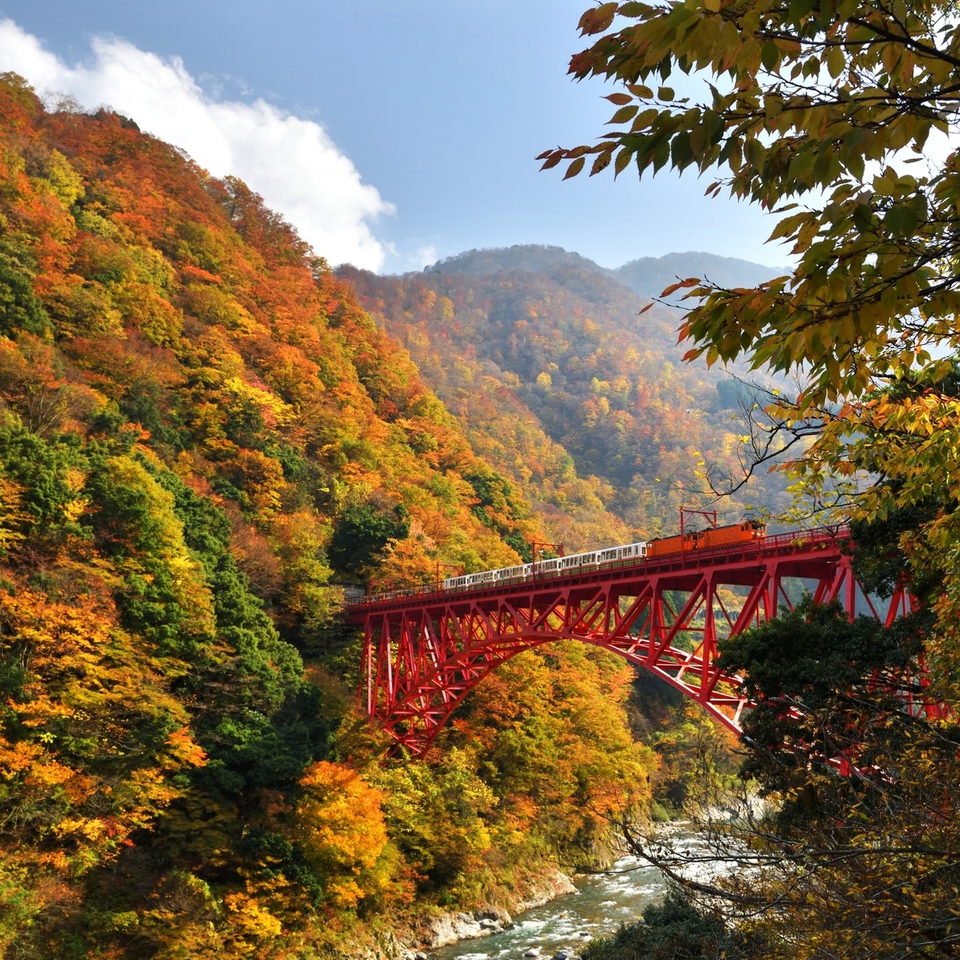Scenic Train Rides in Asia - Kurobe Gorge Railway from afar during autumn season