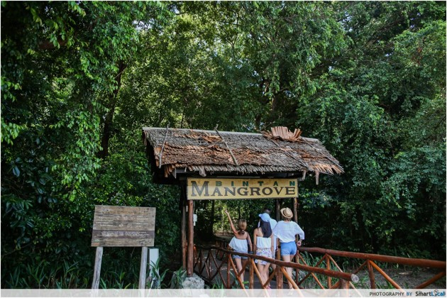Bintan Mangrove - Things To Do In Bintan