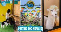 Desaru Mini Zoo: Kid-Friendly Petting Zoo With Alpacas, Sugar Gliders & Camels Just 90 Min From SG