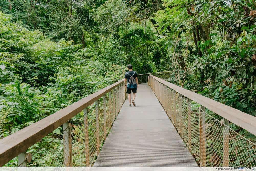 Less Crowded Hiking Trails In Singapore - Windsor Nature Park trails