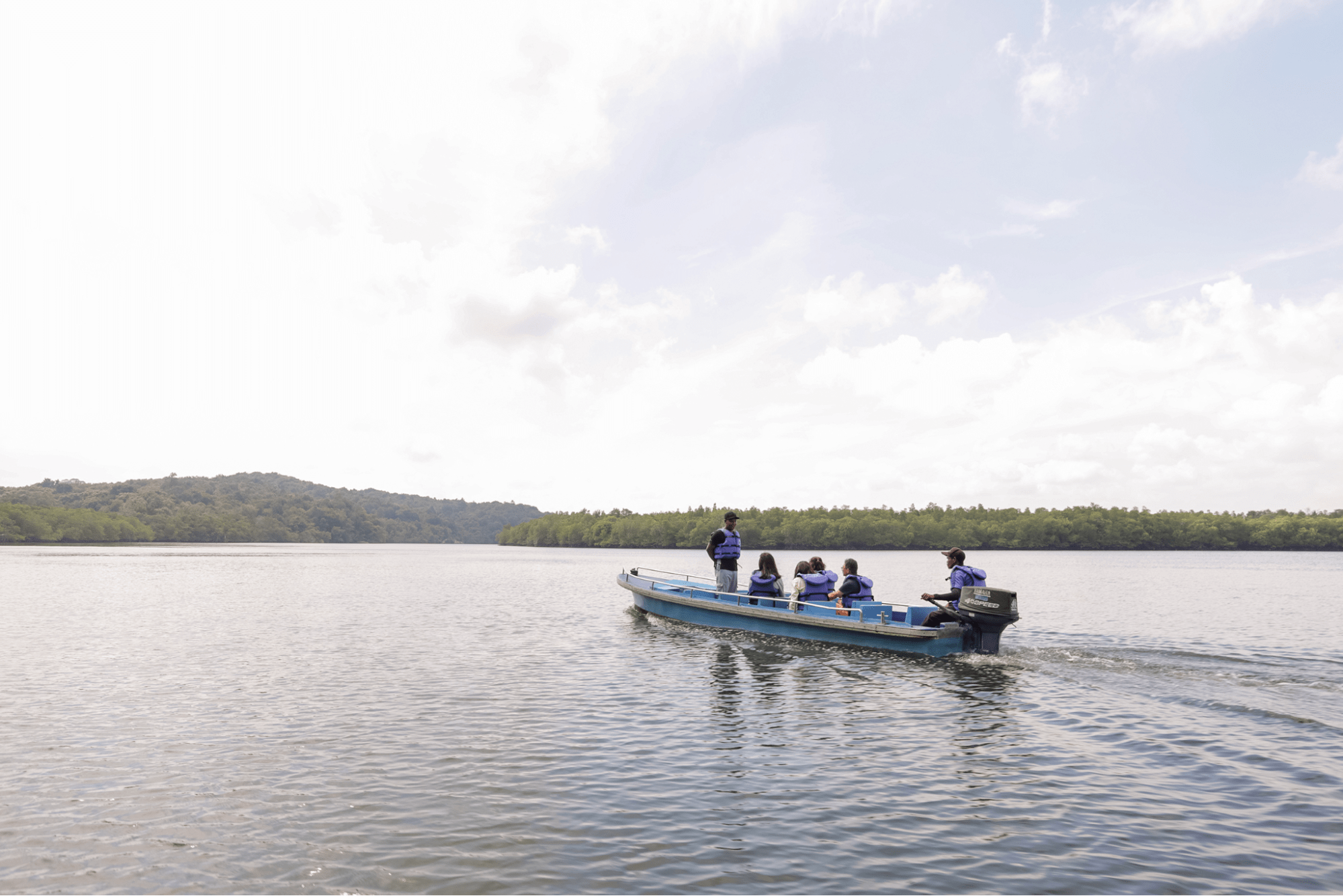 Mangrove Tour - Things To Do In Bintan