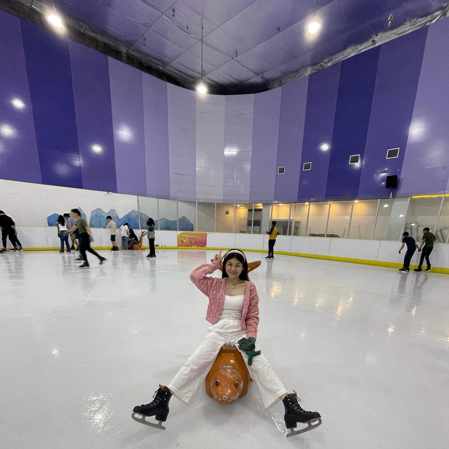 indoor activities singapore - Kallang Ice World
