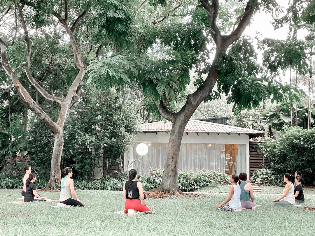 outdoor fitness classes - yoga seeds