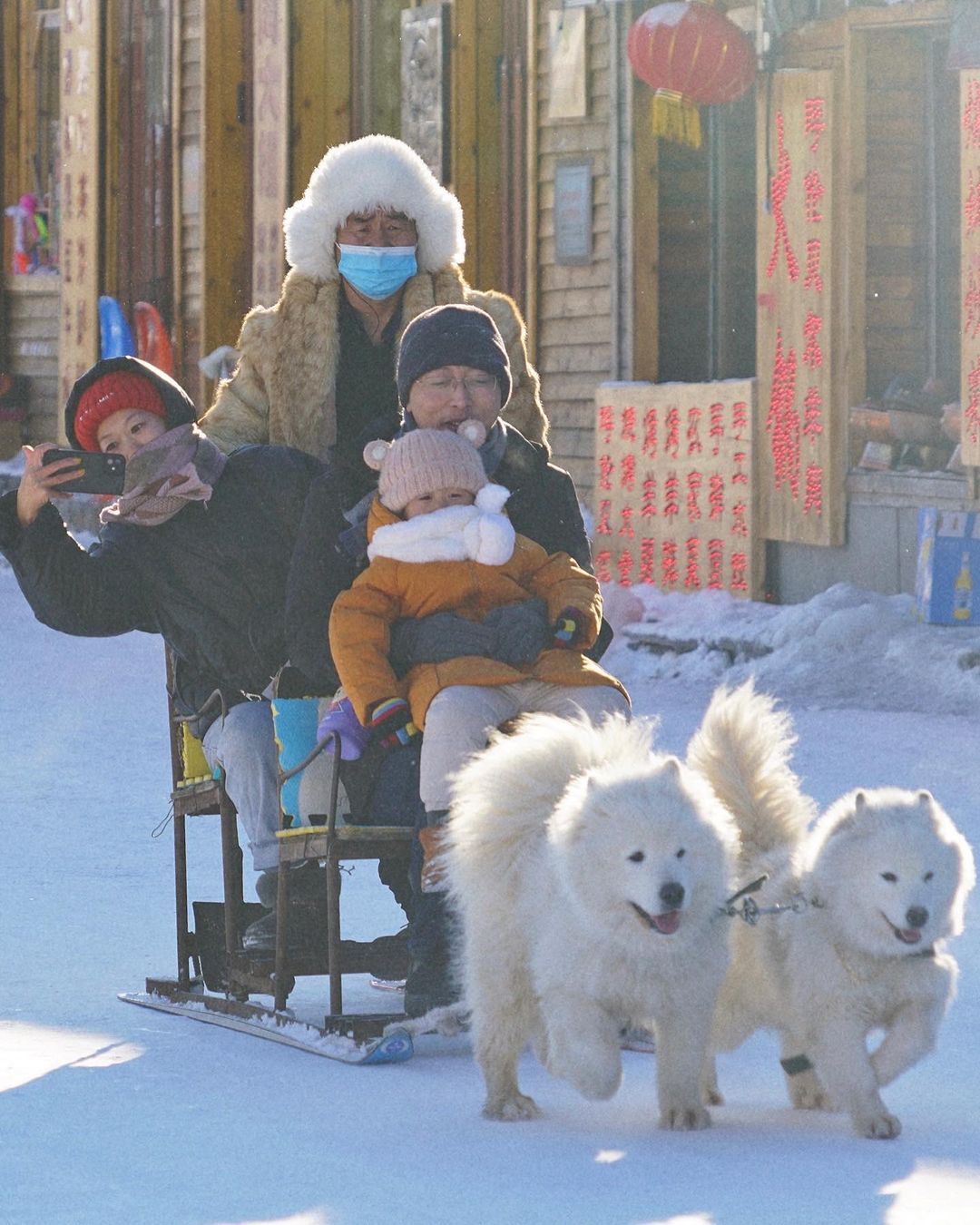7-Day China Itineraries - Harbin dog sledding