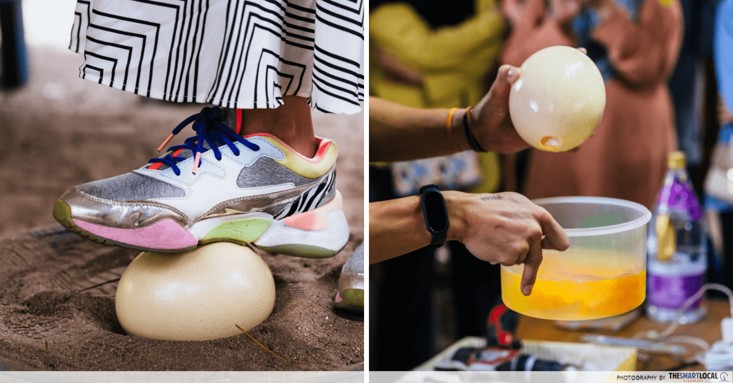 Things to do in Pengerang - Desaru Ostrich farm eggs