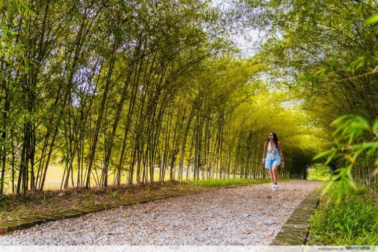 8 Things To Do In Pengerang, Johor Mini Petting Zoo & Bamboo Forest