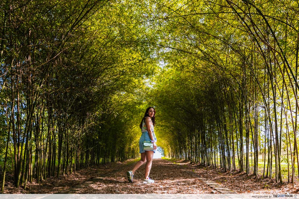 Things to do in Pengerang - bamboo walk