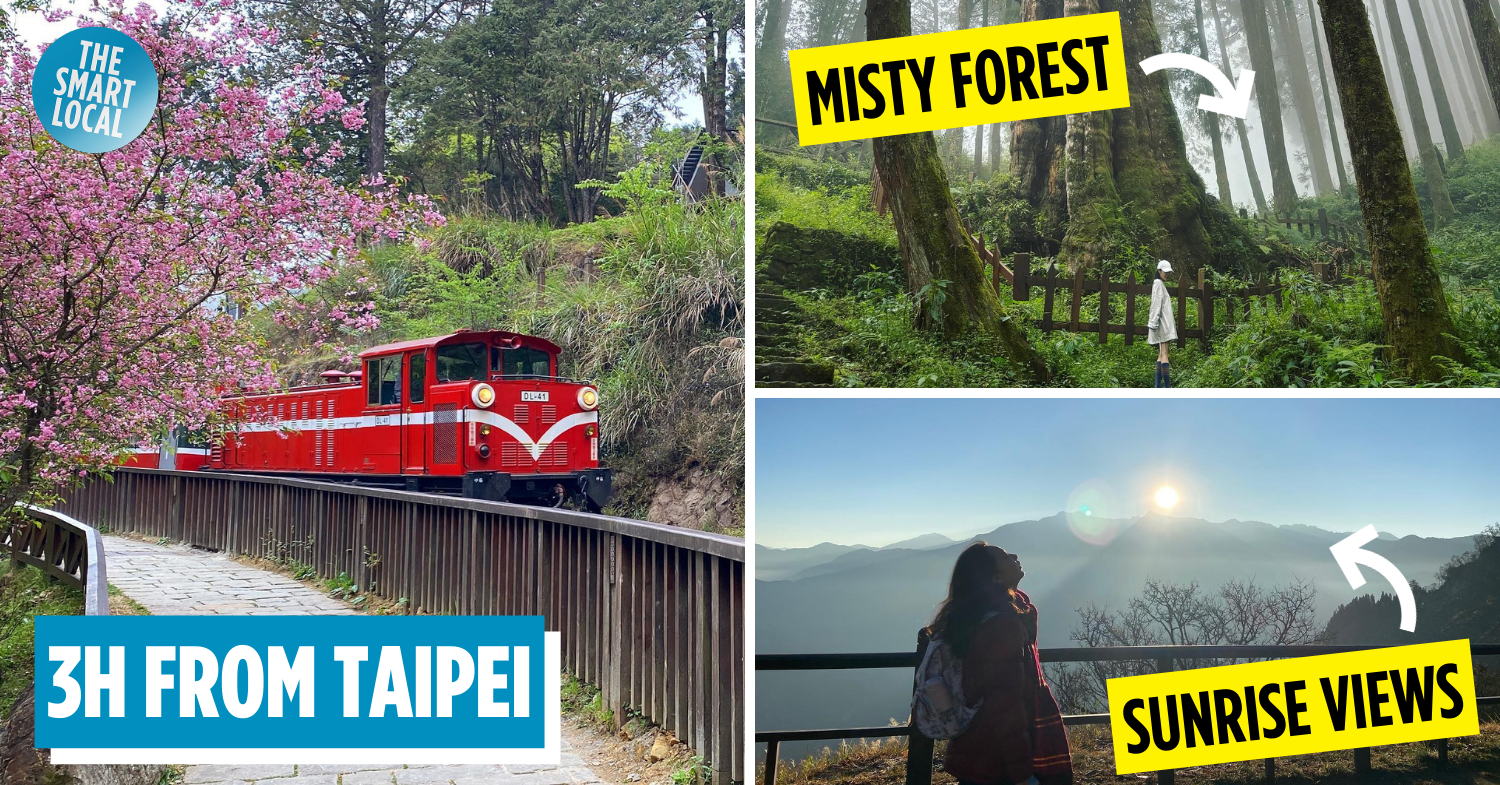 This 111-Year-Old Train In Alishan Makes Stops At A Bento Station, Forest & Cherry Blossom Park
