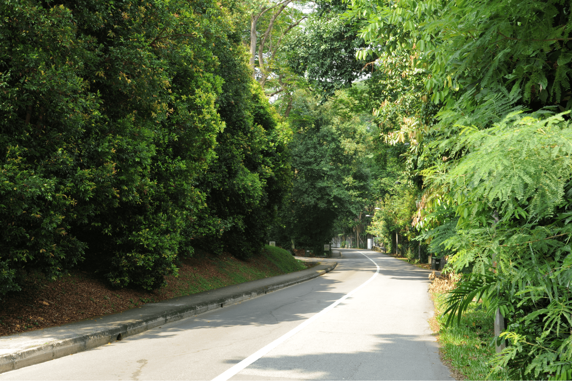 haunted roads in singapore - mount pleasant road