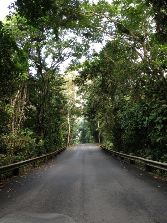 haunted roads in singapore - rifle range road