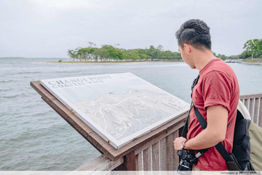 Changi Boardwalk - Looking at the Changi Point Coastal walk map