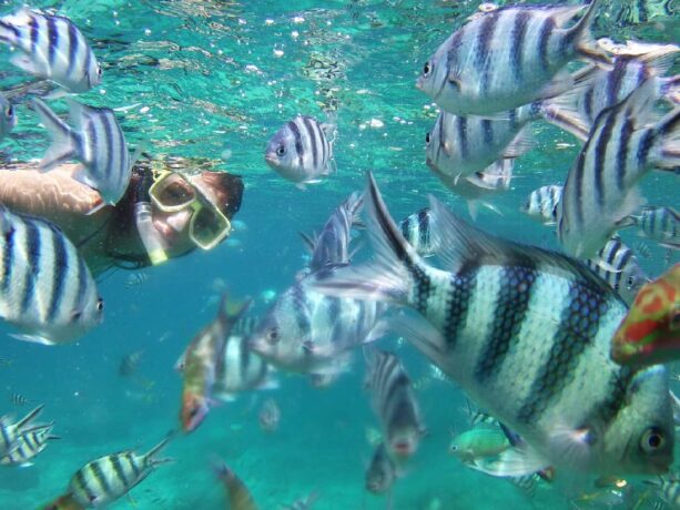 Rawa Island: A Hidden Gem Near SG For A Weekend Getaway