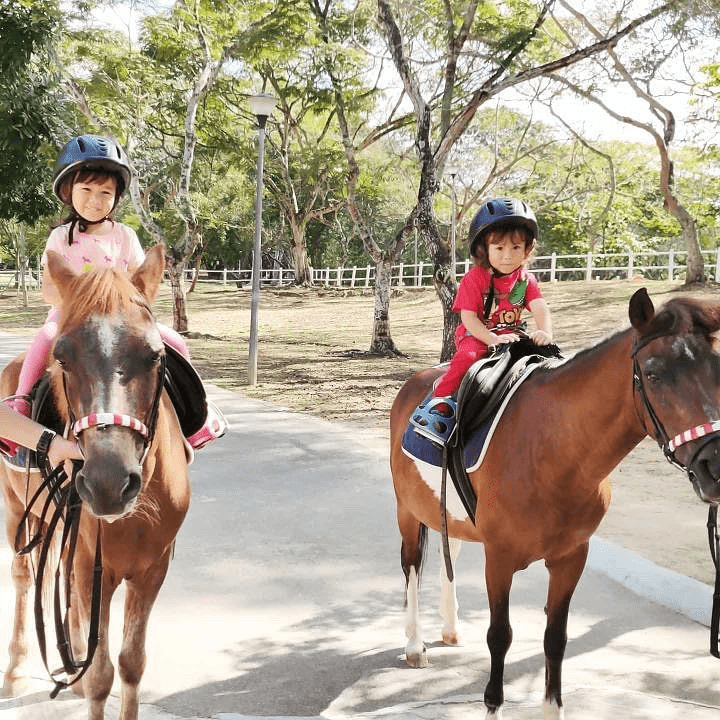 pasir ris park - horse riding