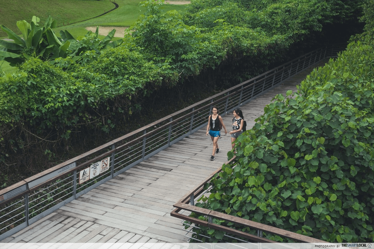 things to do singapore - labrador park boardwalk