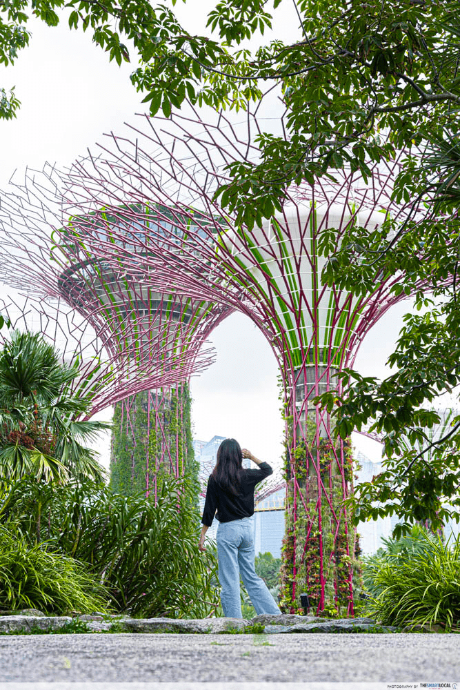 Gardens by the Bay - Photo spots