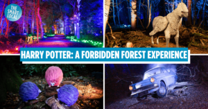 Harry Potter A Forbidden Forest Experience in Singapore 2024