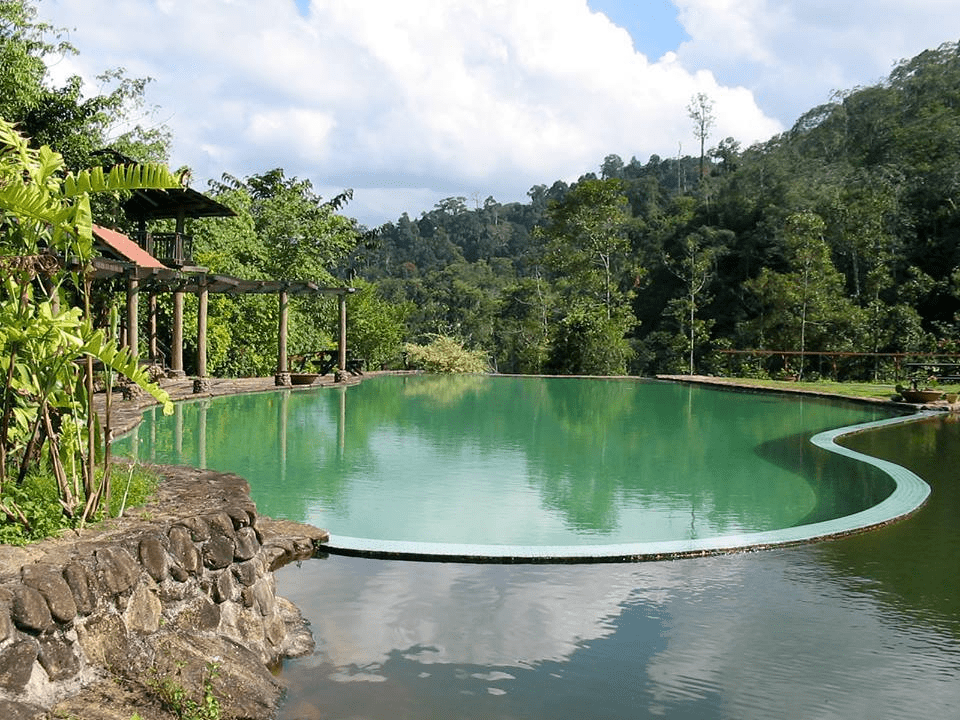 KL nature resorts - Enderong Resort pool