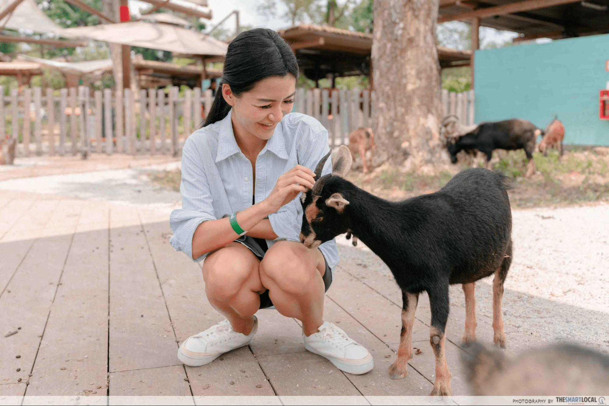 Things to do November - KidzWorld Roaming Goats