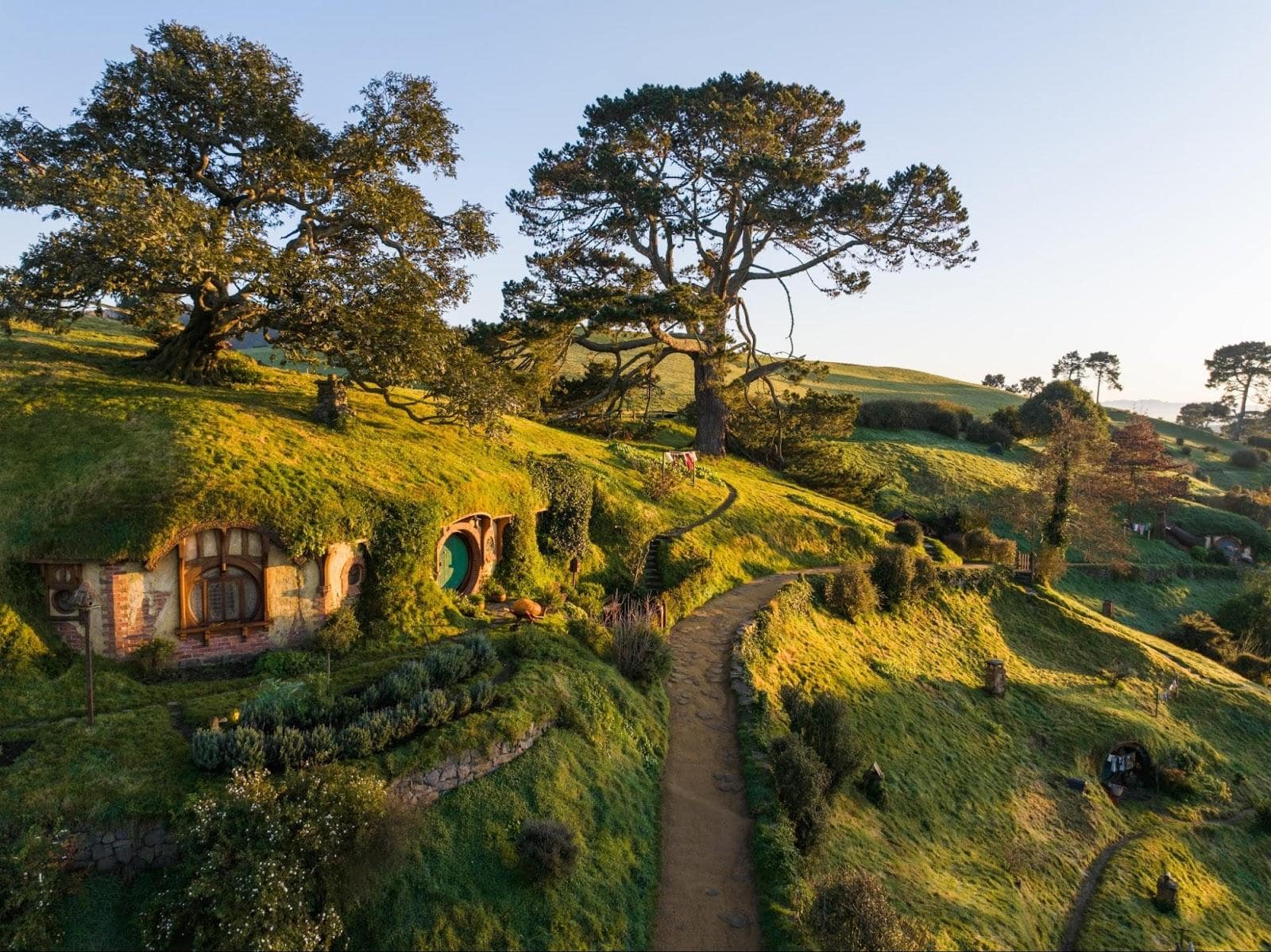 New Zealand Hobbit