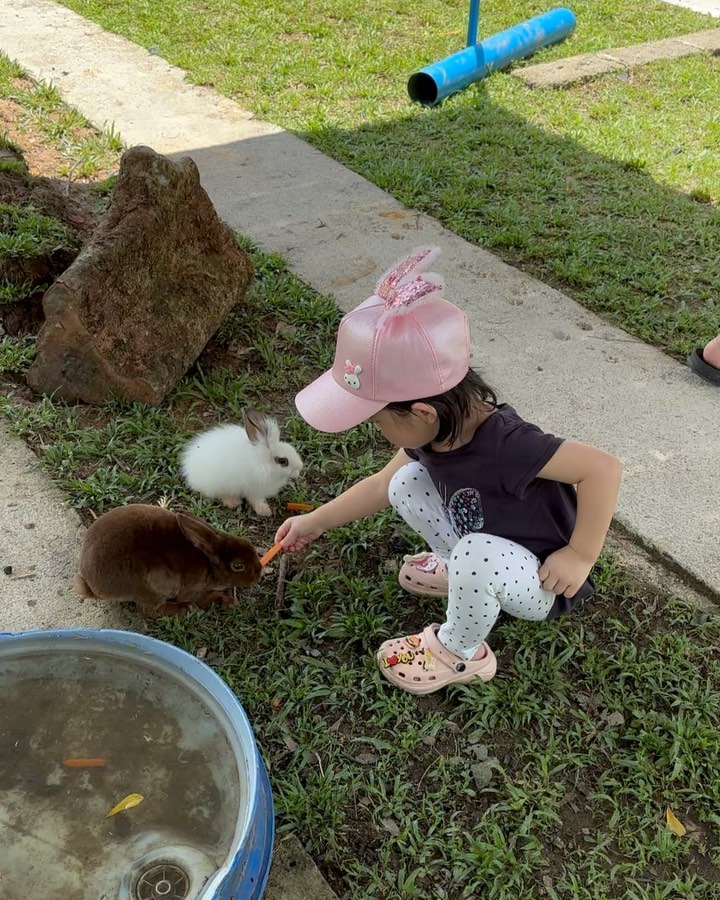 Sinar Eco Resort in Johor - animal feeding