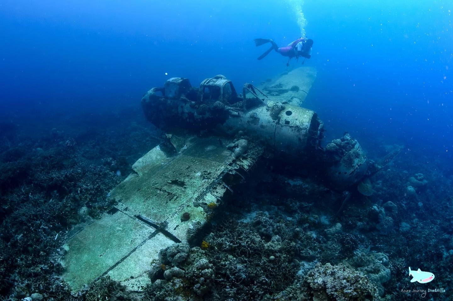 Plane wreck dive site in Palau