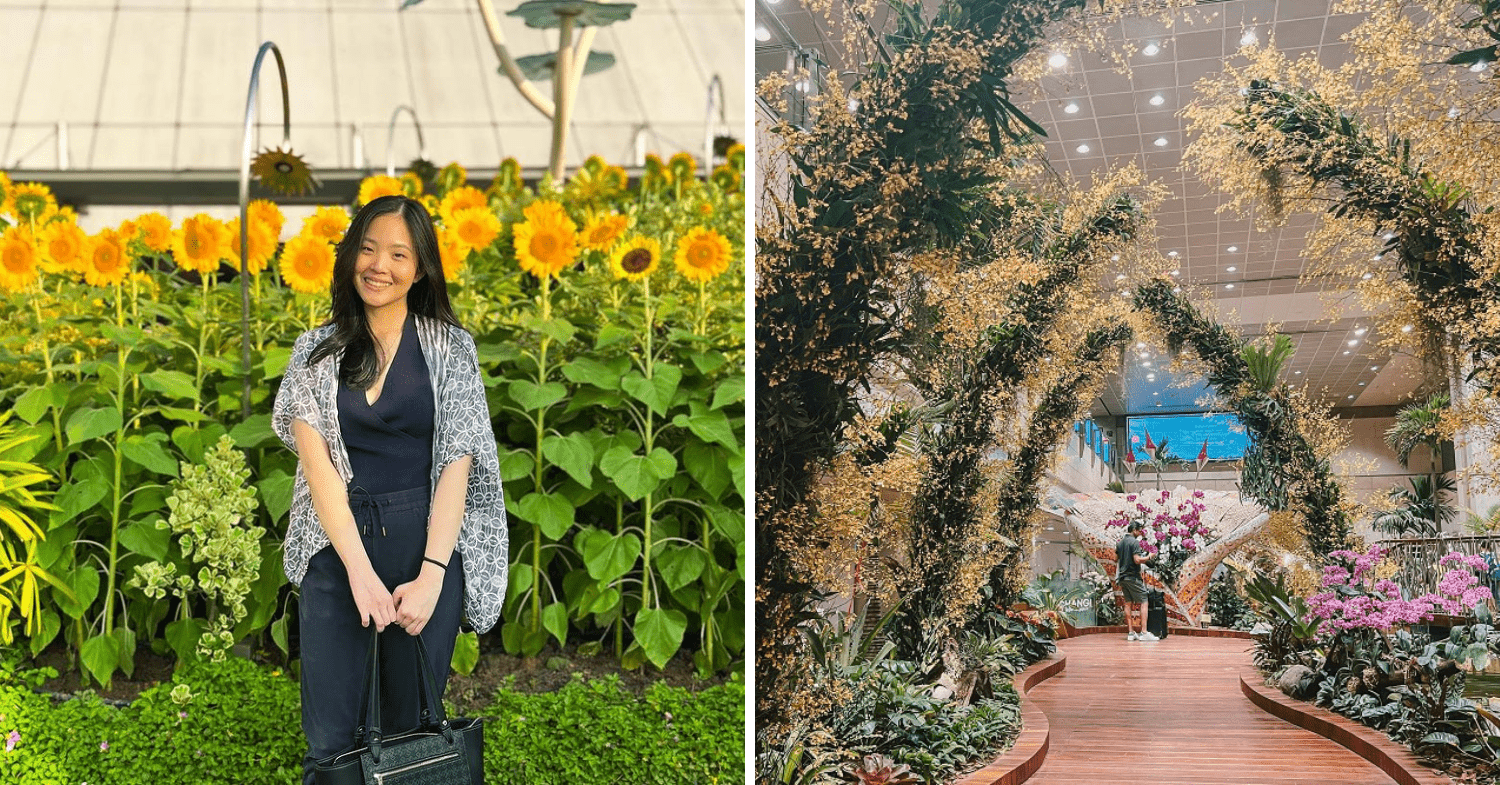 Sunflower Garden & Enchanted Garden At Changi Airport T2