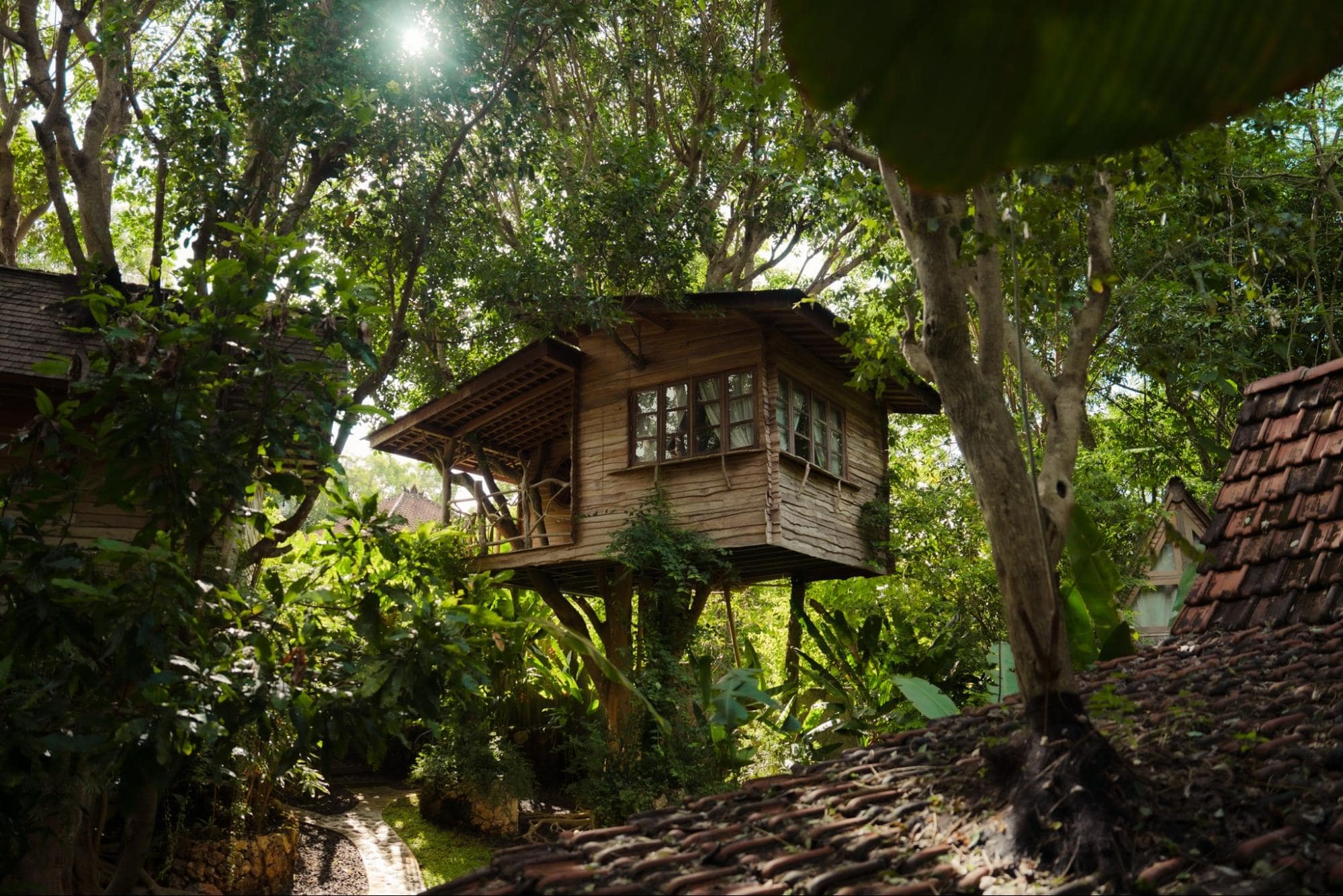 Unique resorts near Singapore - Roots Tree House Bali Indonesia