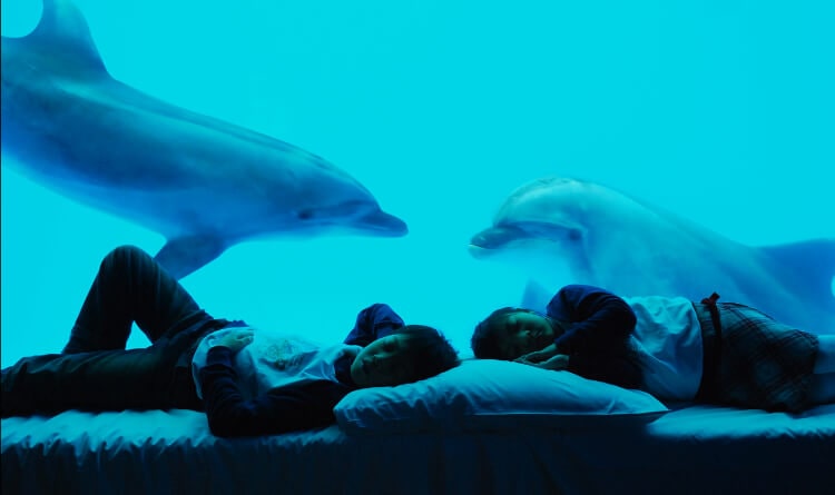 12 Kid-Friendly Things In Taiwan - Sleep at the Farglory Aquarium