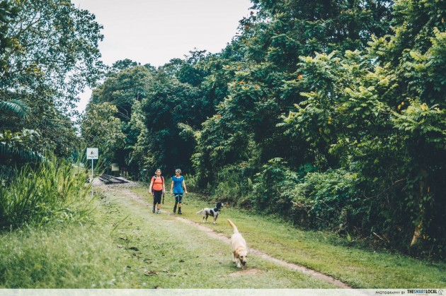 kid-friendly hikes - Bukit Timah Nature Reserve