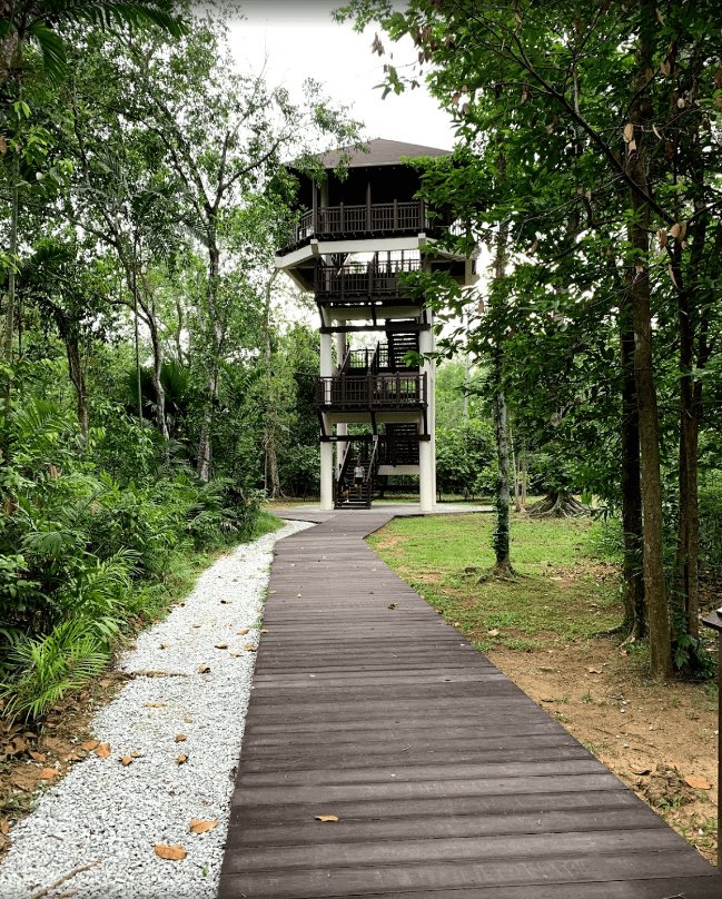 kid-friendly hikes - Pasir Ris Park Mangrove lookout tower