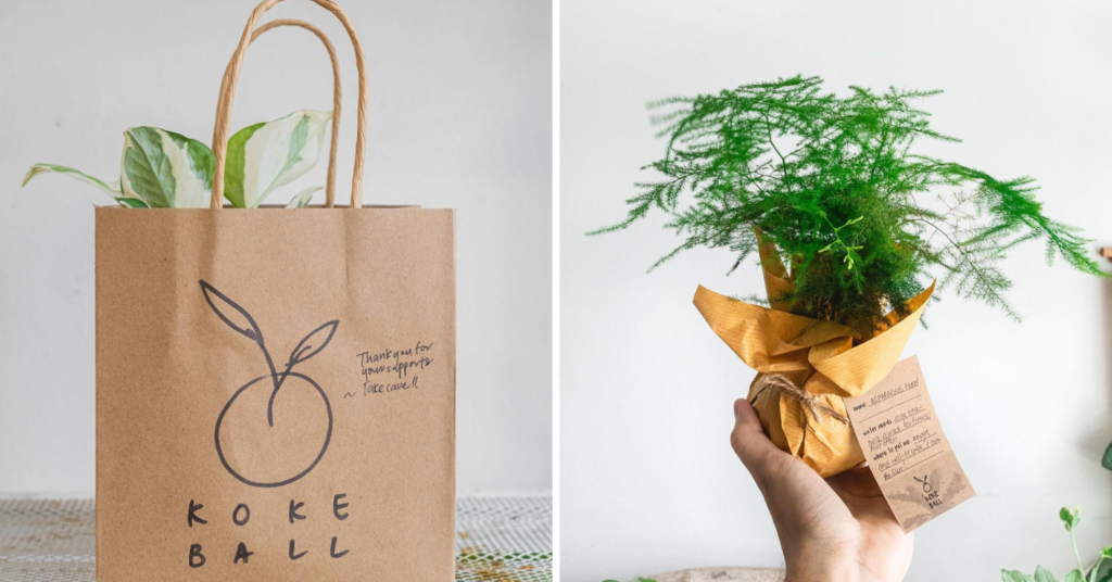 9 Best Plant Delivery Stores In Singapore
