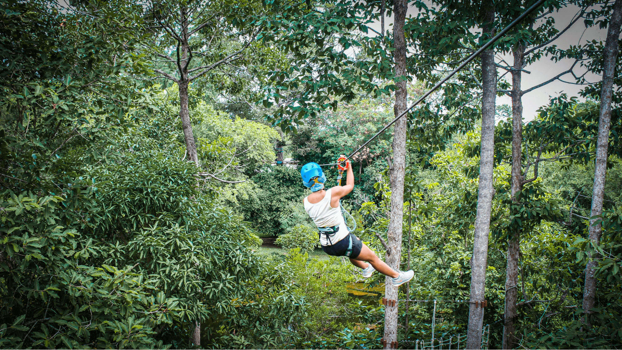 things to do near bangkok - Tree Top Adventure Park