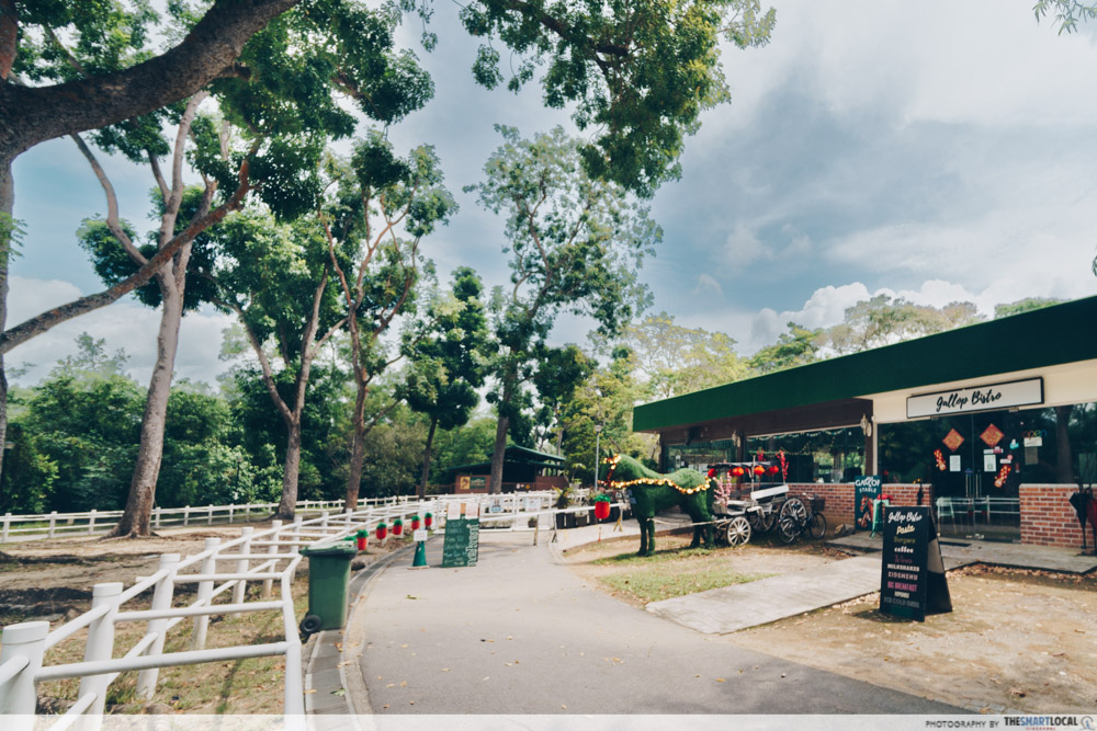 things to do pasir ris - gallop stables 1