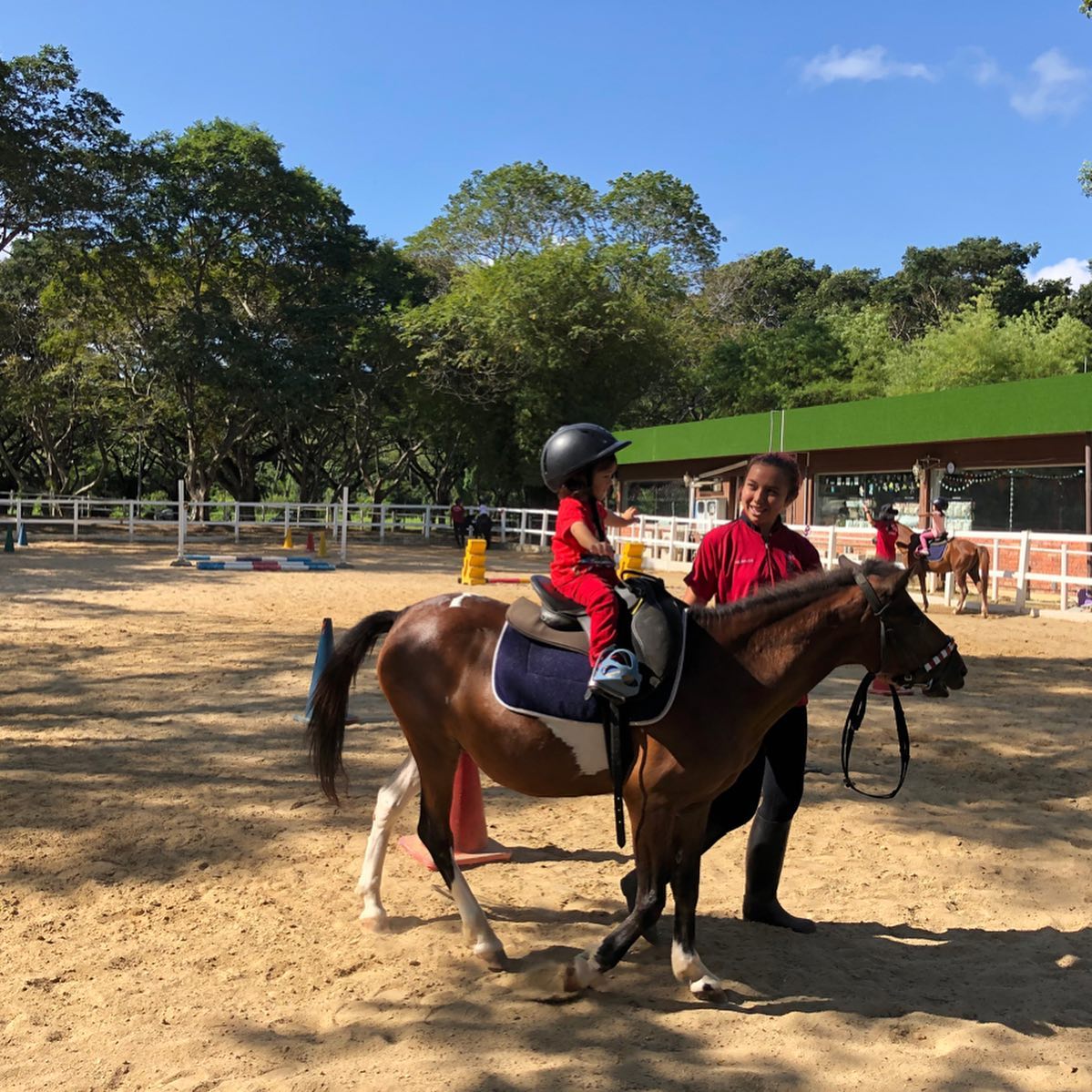 things to do pasir ris - gallop stables 3