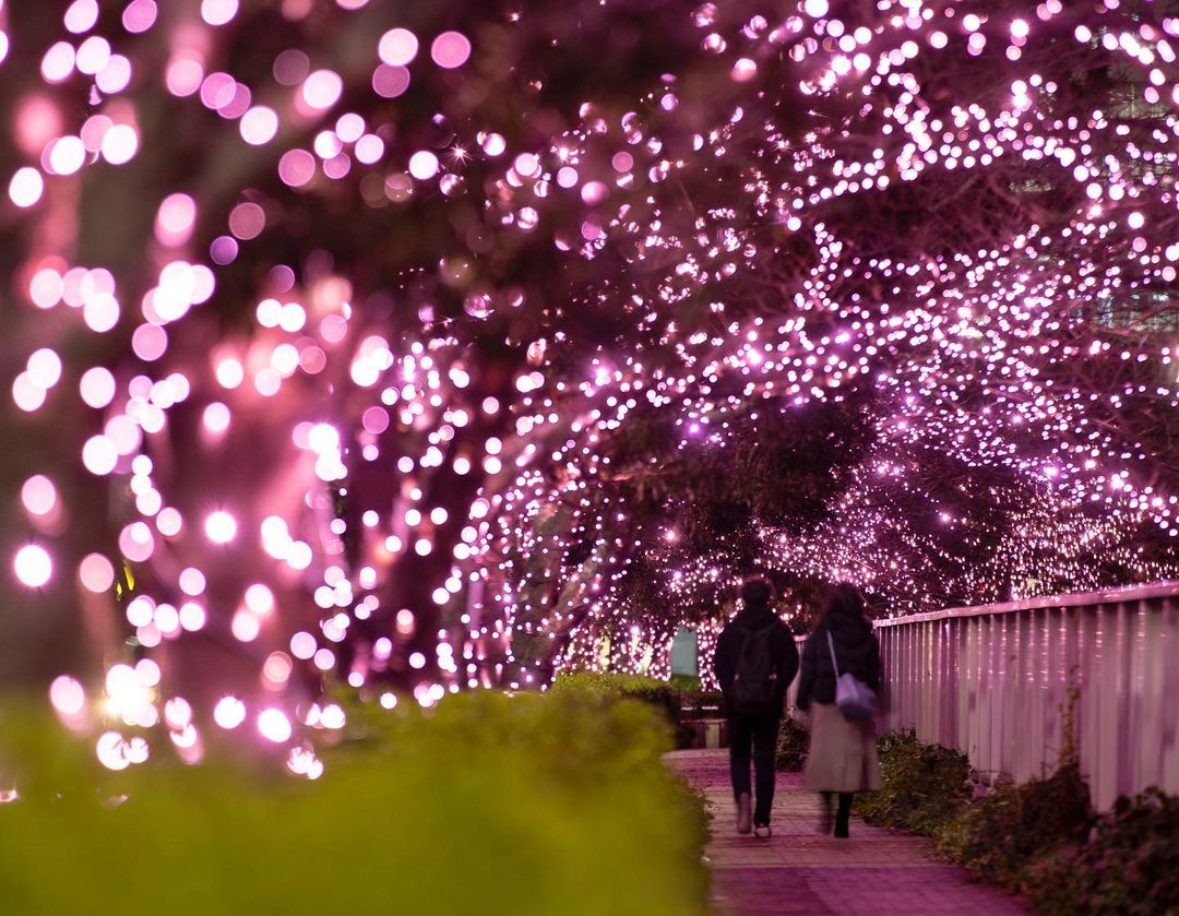 Christmas decor & light-ups in Asia 2023 - Meguro River