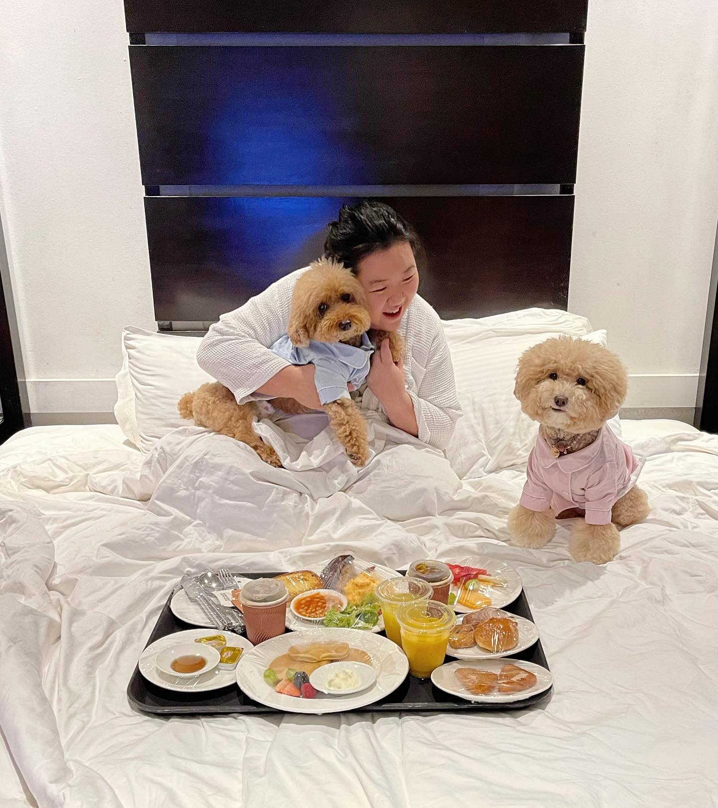 Pet-Friendly Hotels, Resorts, & Chalets in Singapore - Amara Sanctuary Sentosa - Pampered Paws package