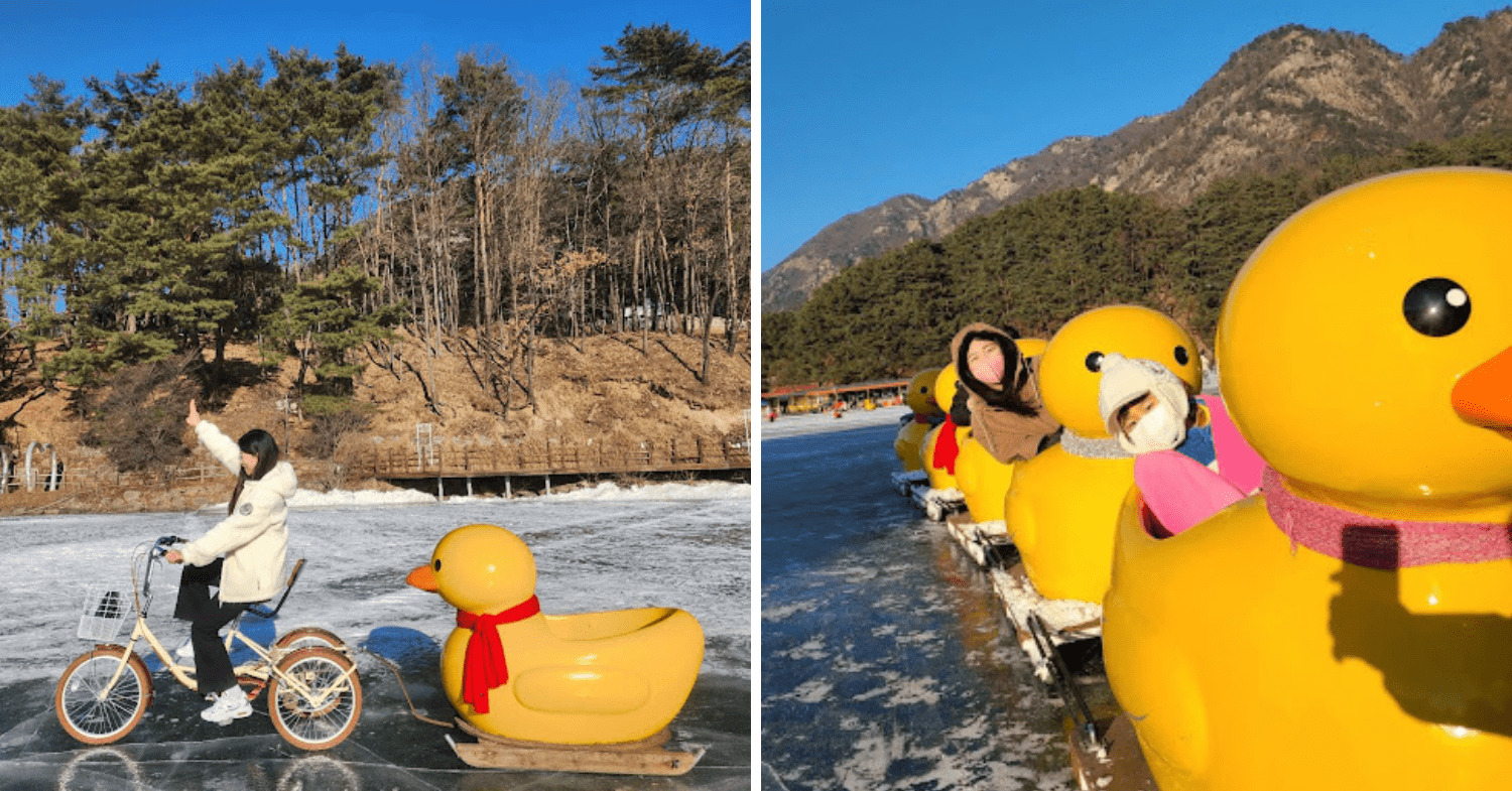 Coldest Places Near Singapore - Pocheon duck sledding rides