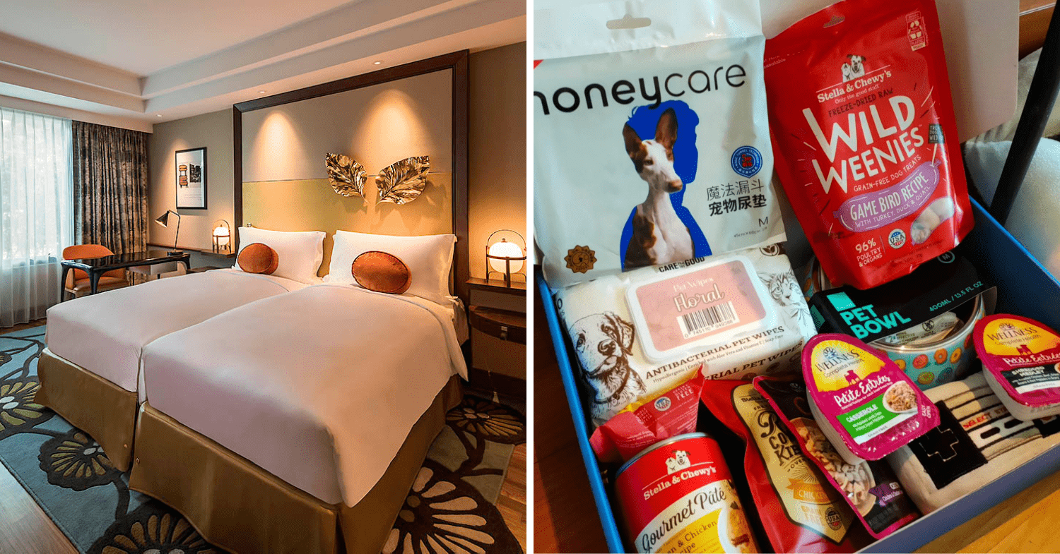 Pet-Friendly Hotels, Resorts, & Chalets in Singapore - FurKid Retreat package at Sofitel Singapore Sentosa Resort