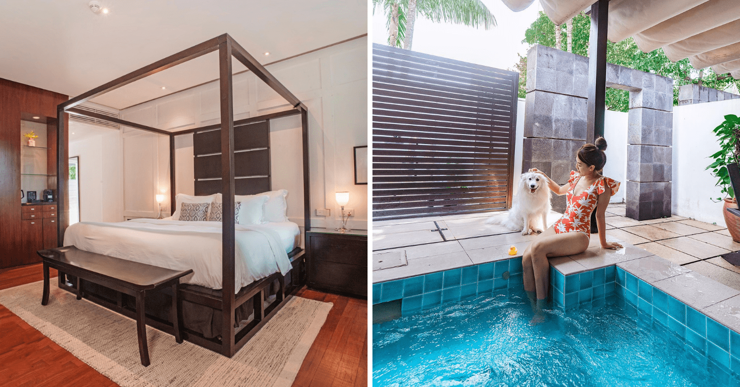 Pet-Friendly Hotels, Resorts, & Chalets in Singapore - Courtyard Suite at Amara Sanctuary Sentosa 