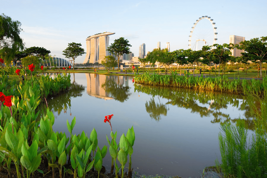 instagrammable things to do singapore - bay east garden