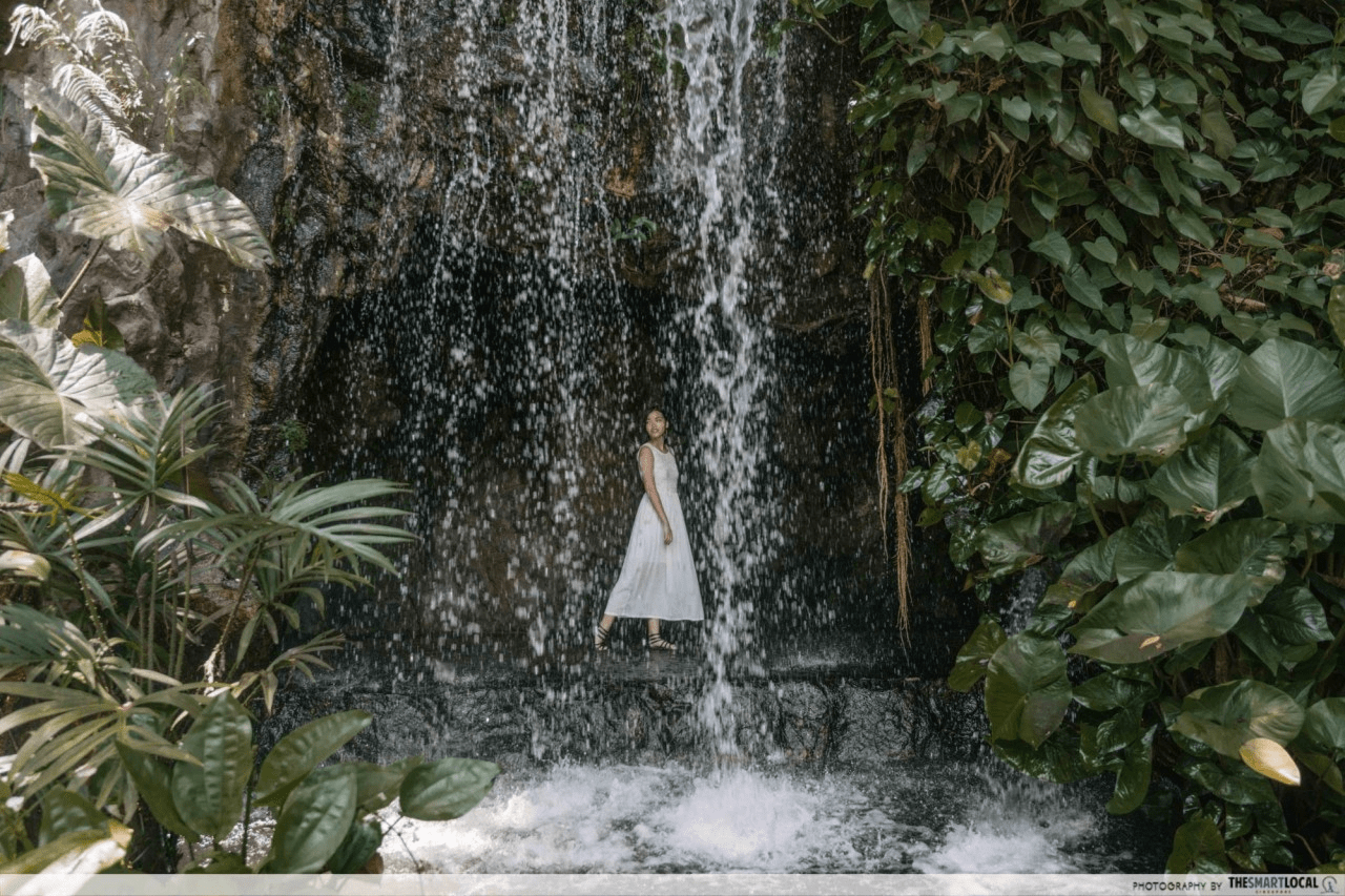 instagrammable things to do singapore - botanic gardens