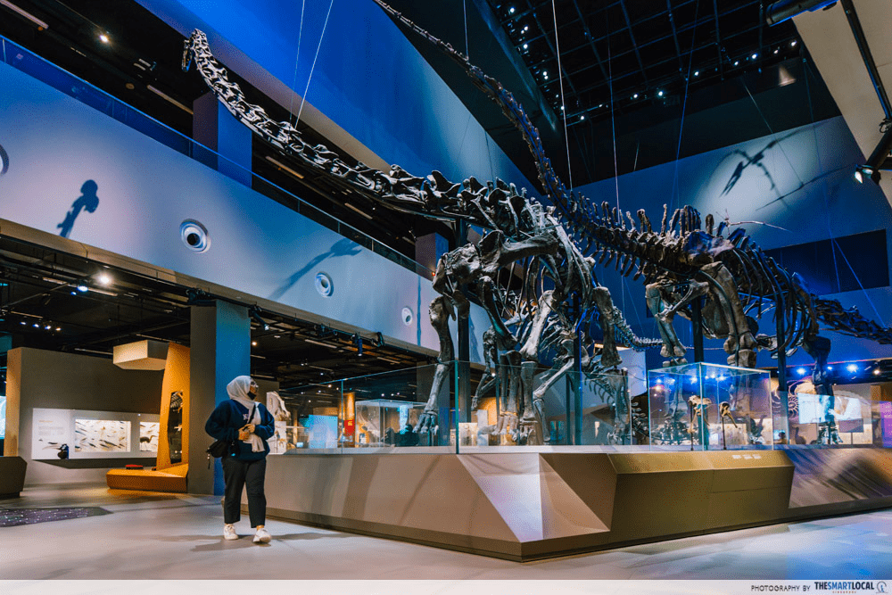 instagrammable things to do singapore - lee kong chian natural history museum