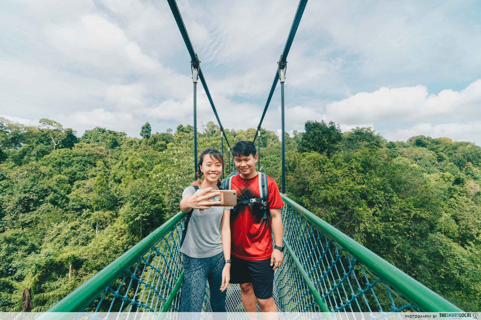 instagrammable things to do singapore - macritchie treetop walk