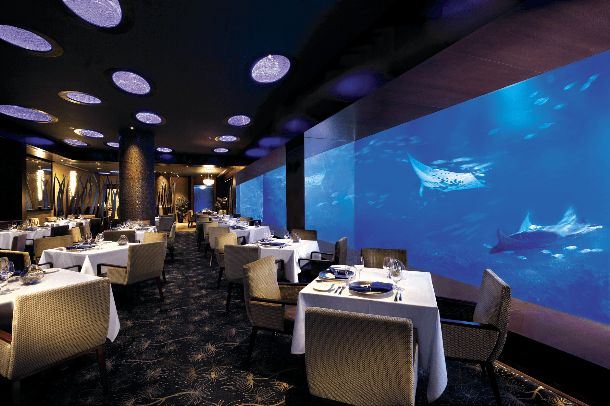 instagrammable things to do singapore - ocean restaurant singapore