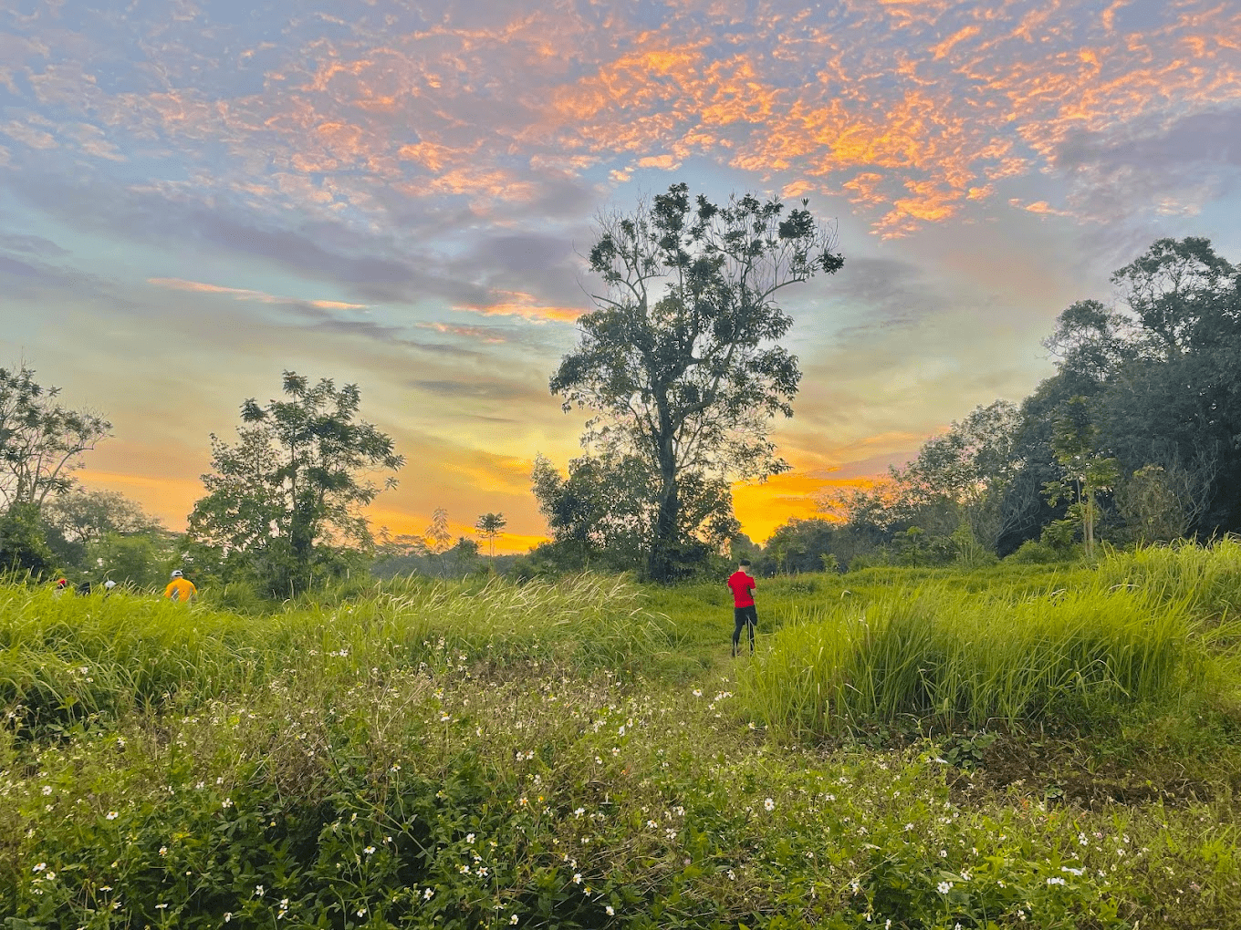 instagrammable things to do singapore - ulu sembawang park connector