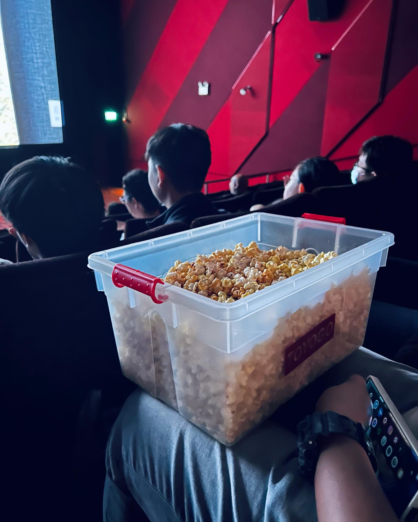 movie theatres singapore container