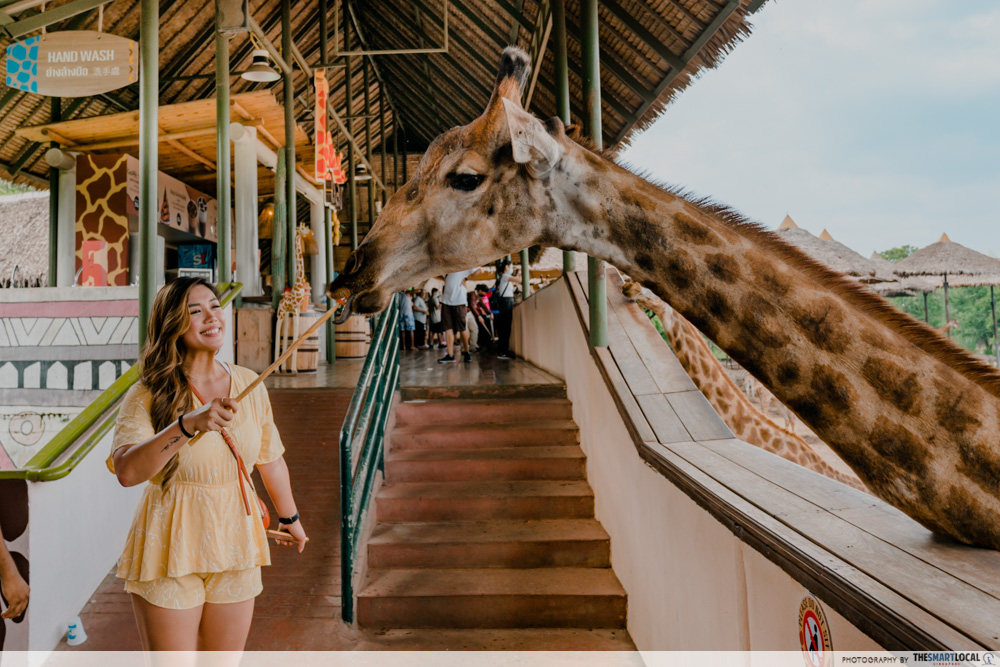 things to do bangkok safari world